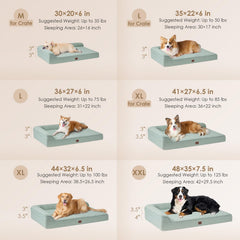 EHEYCIGA canape-chien design ergonomique, soutien optimal du cou et de la colonne.
