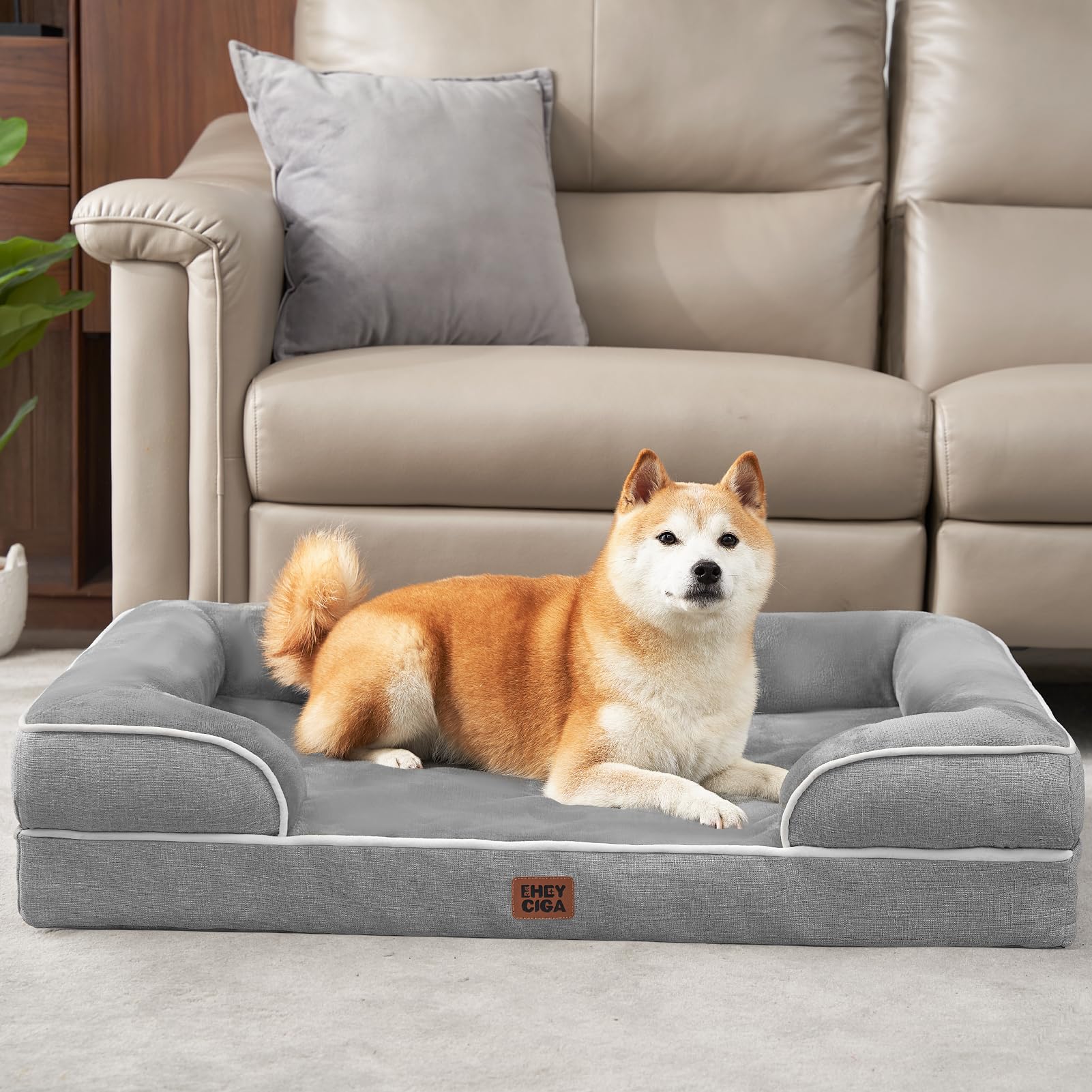 Confort quotidien EHEYCIGA pour chiens âgés, sécurité et bien-être.