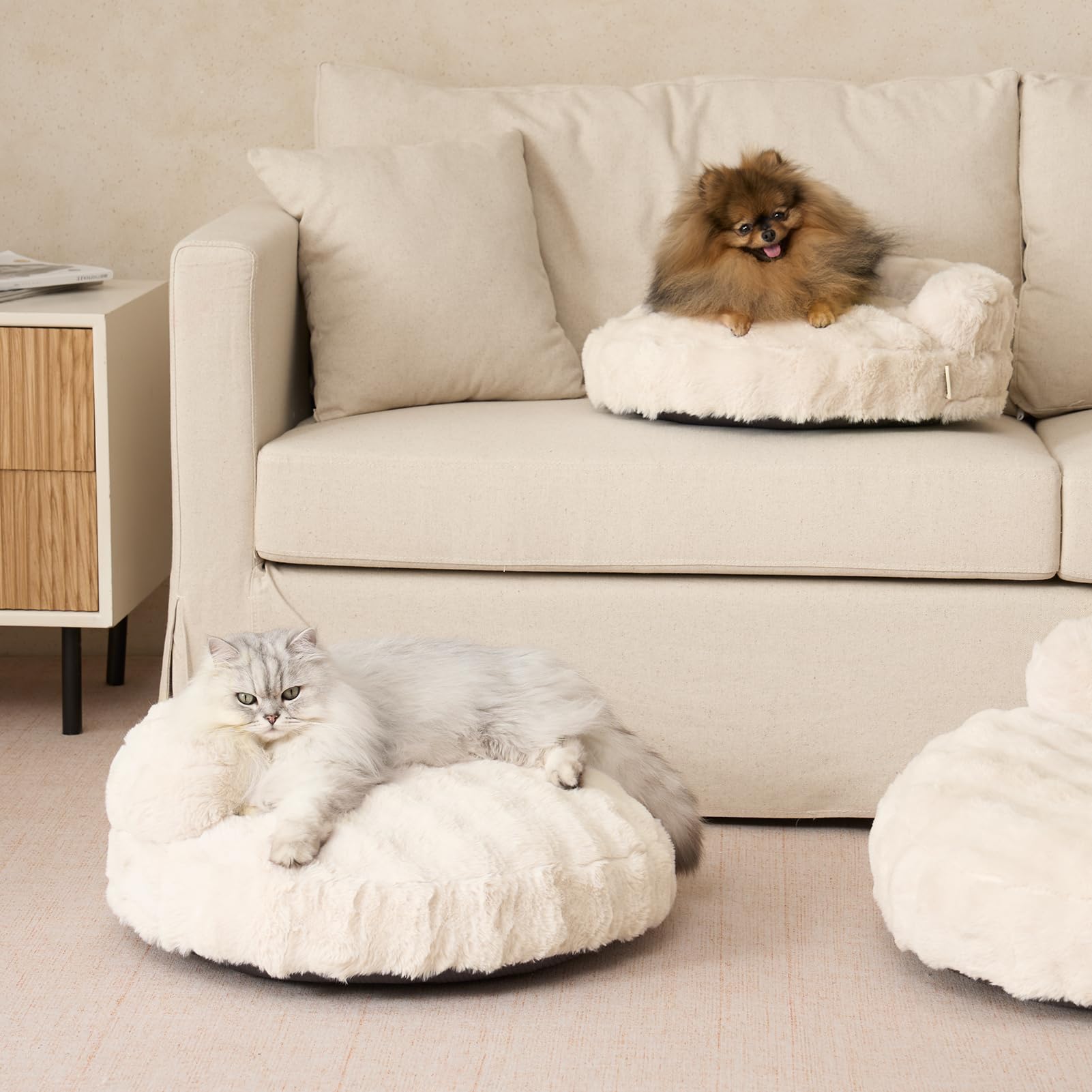 EHEYCIGA design confortable pour l’usage quotidien des animaux.