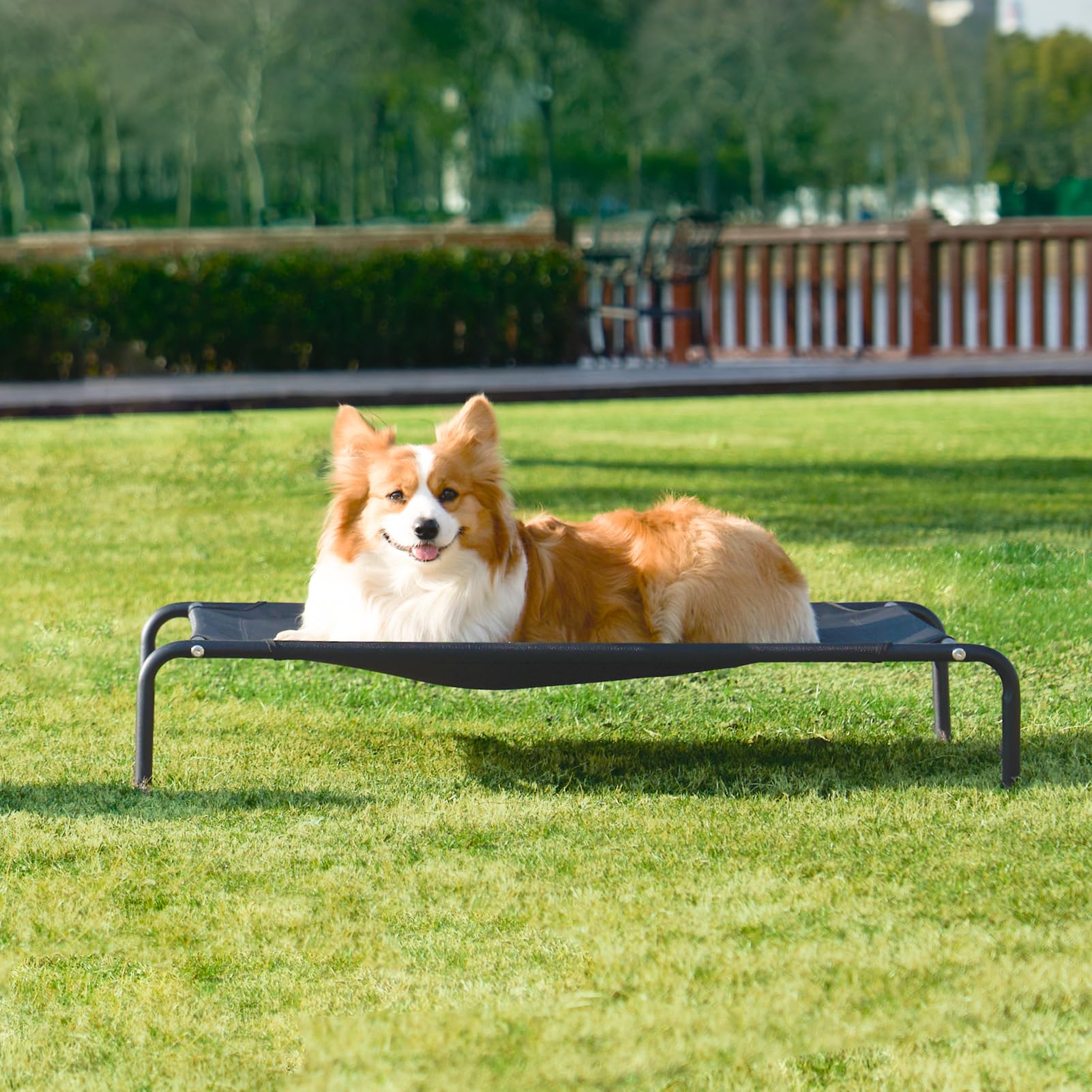 Dimensions 48x32 pouces offrant espace pour grands chiens.