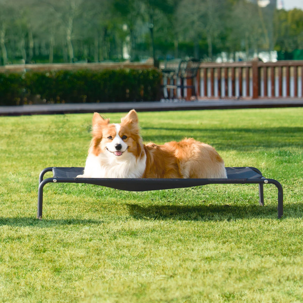 Dimensions 48x32 pouces offrant espace pour grands chiens.