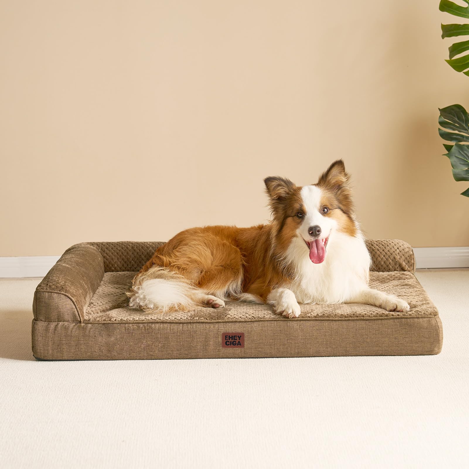 Guide entretien rapide EHEYCIGA, pour prolonger la vie du lit chien.