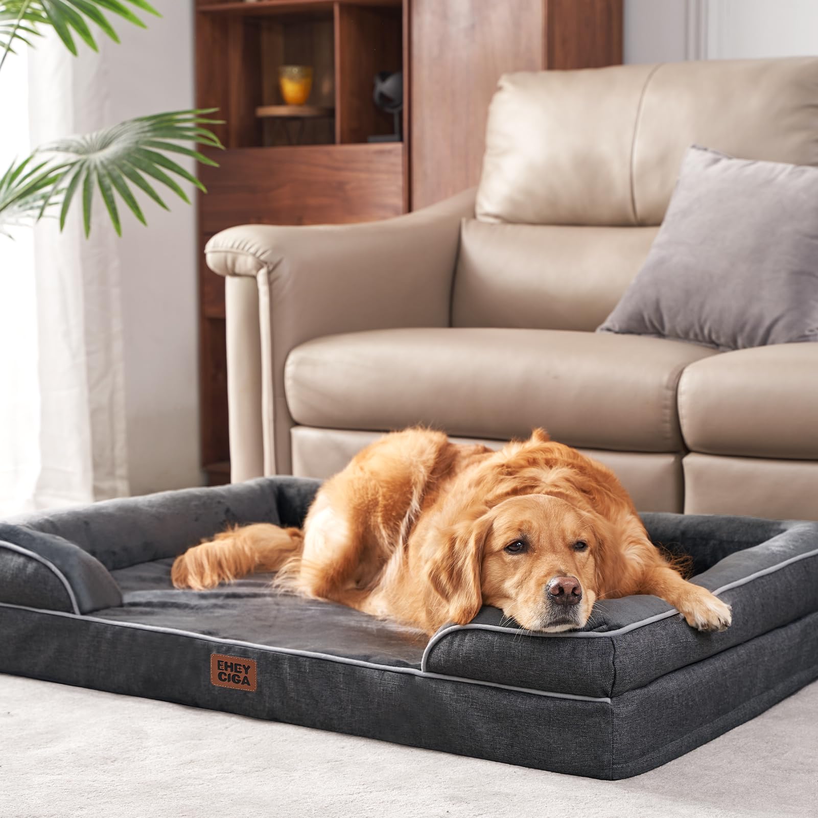 Lit chien XL EHEYCIGA en action offrant un espace généreux