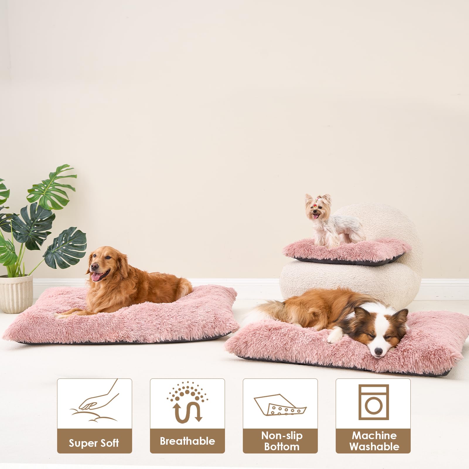 EHEYCIGA Confort durable, refuge sûr pour chien pendant la nuit.