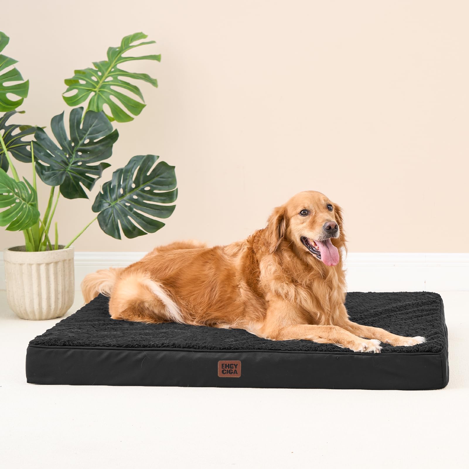 Utilisation du lit dans une caisse pour chien avec EHEYCIGA.