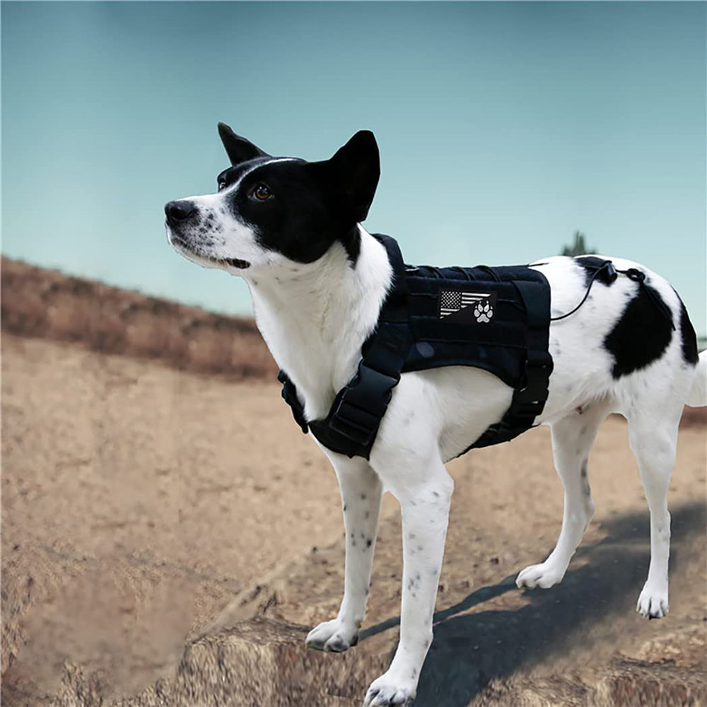Patch EHOPE idéal pour personnalisation de vestes canines