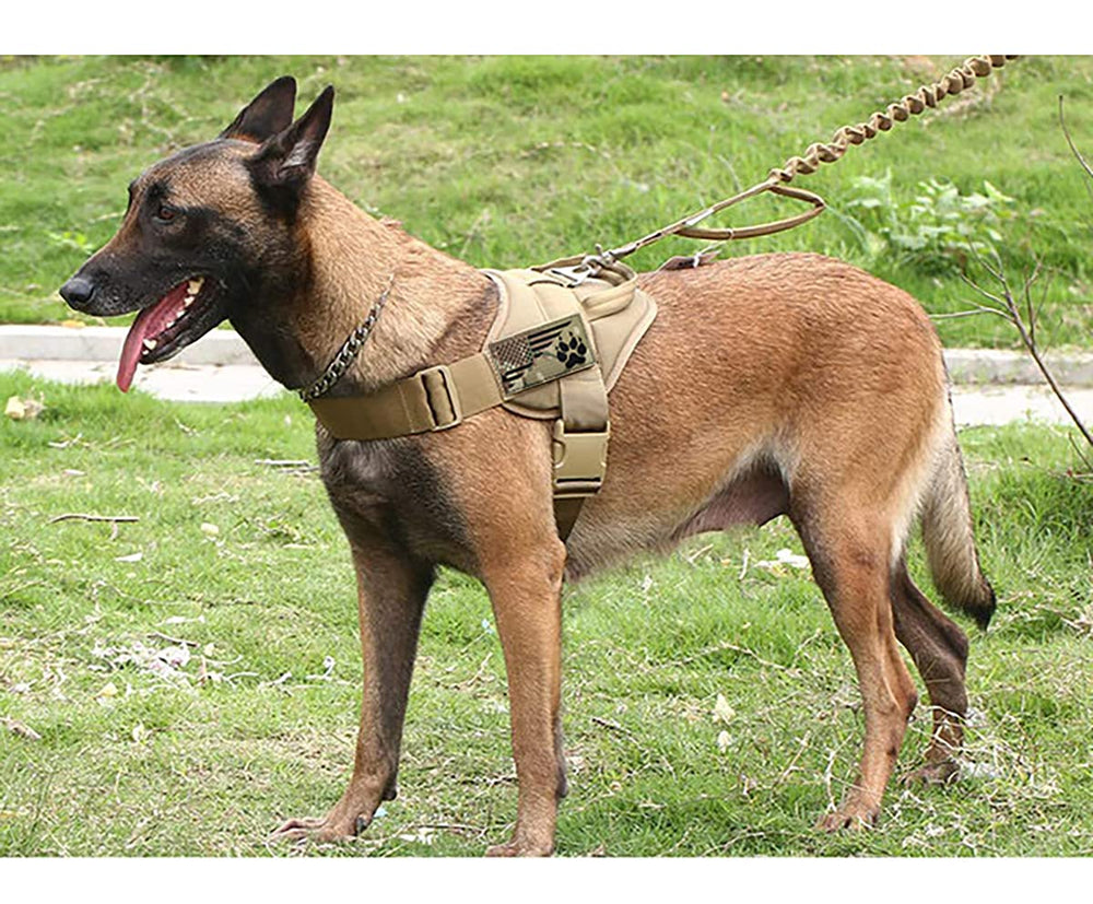 Patch EHOPE pour sorties nocturnes, sécurité et visibilité.