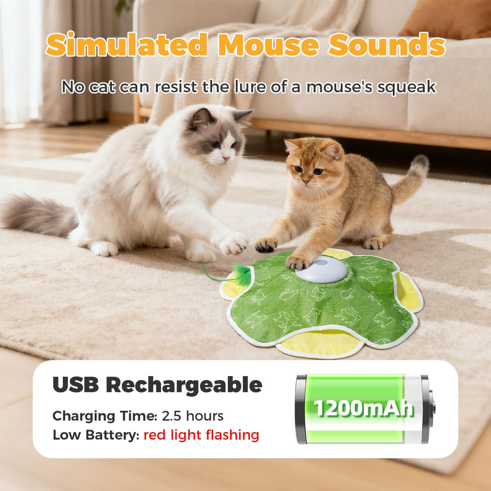 Mode interactif lumineux du jouet EHWZ pour stimulation