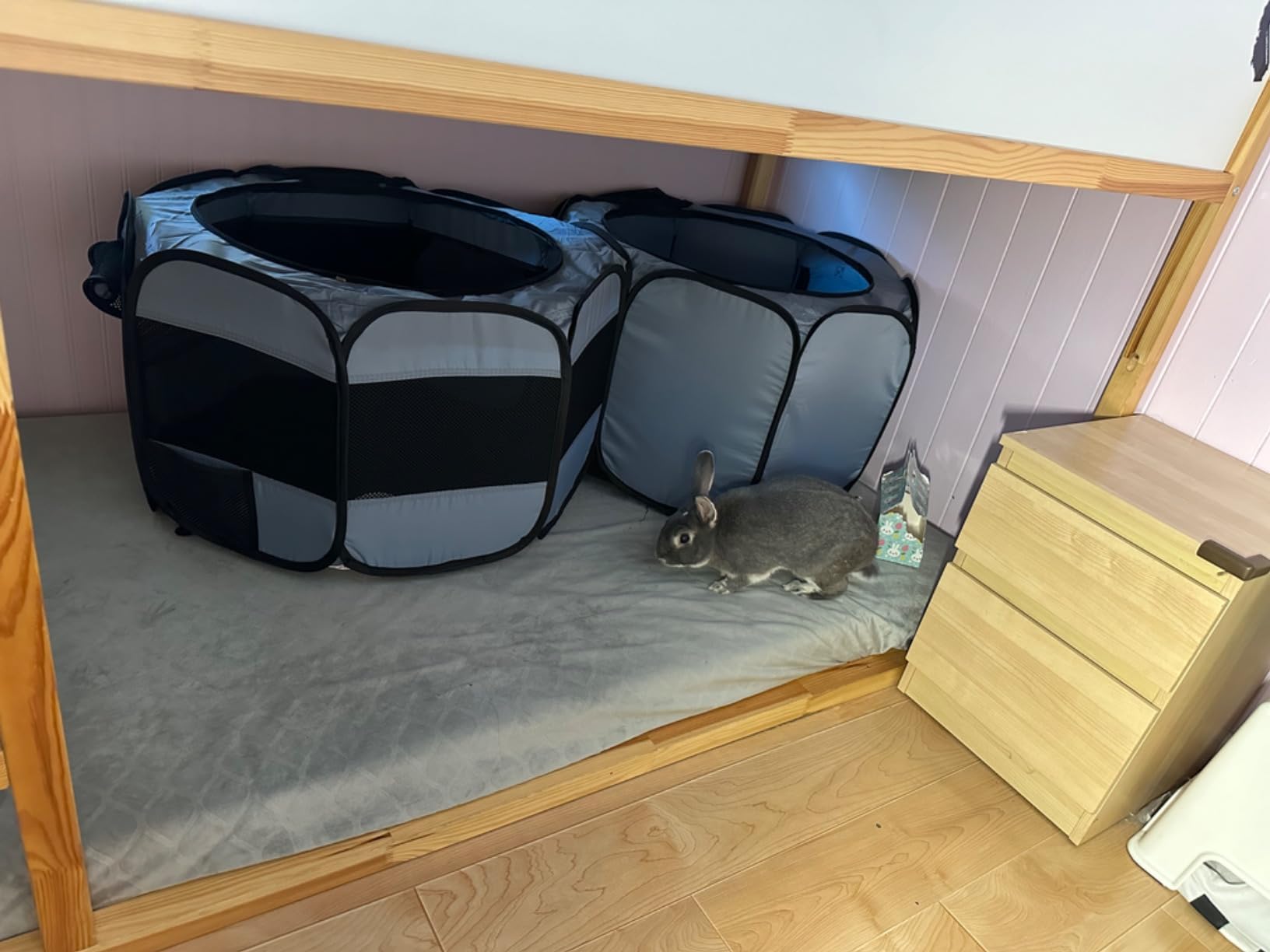 Habitat polyvalent EighteenTek pour hamsters et lapins
