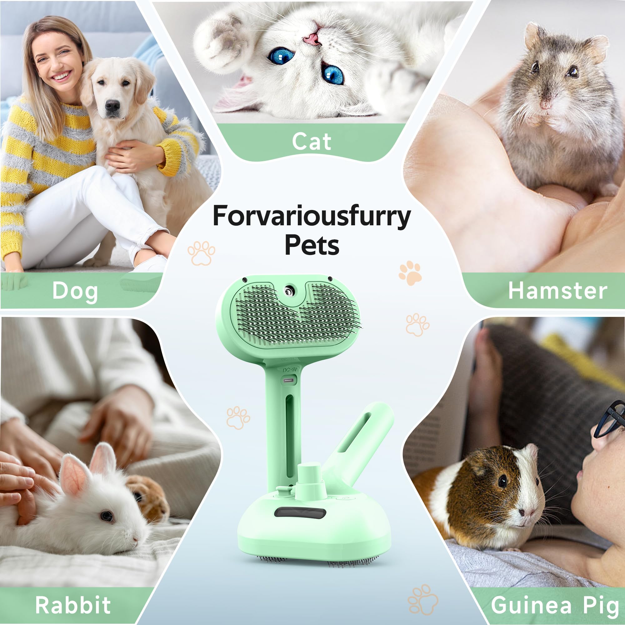 Emballage Eilimy prêt à offrir, parfait pour l'entretien régulier des animaux.
