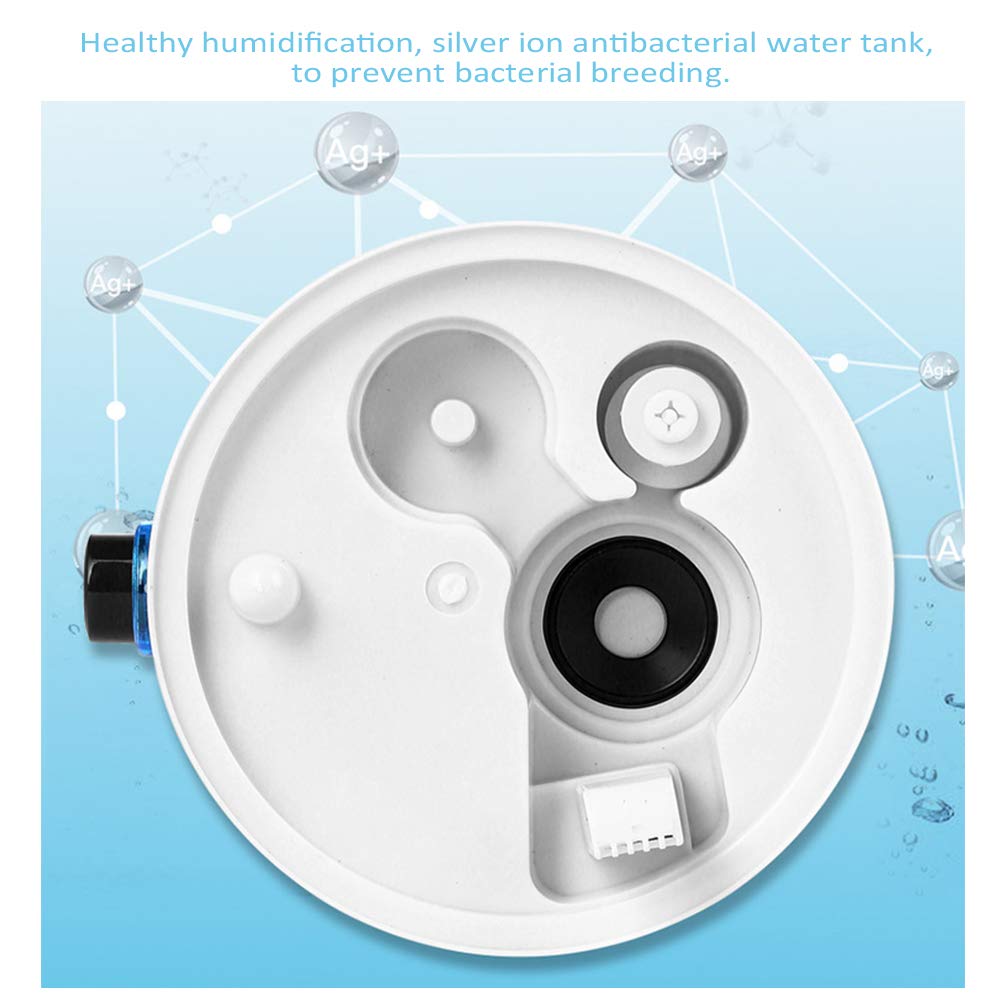 EKDJKK humidificateur-reptile 4L adapté aux terrariums
