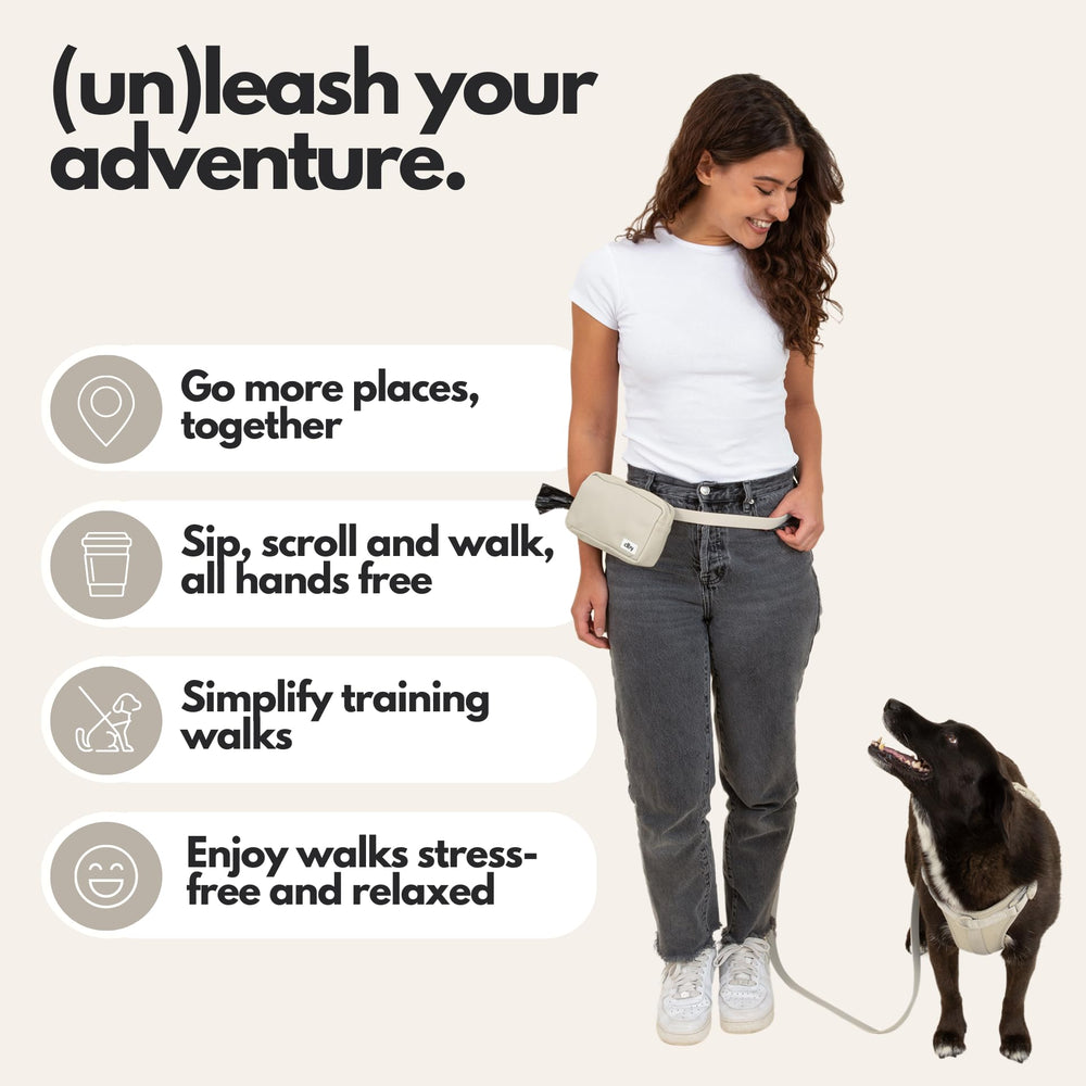 Entraînement canin avec Elby, récompenses à portée de main lors des exercices.