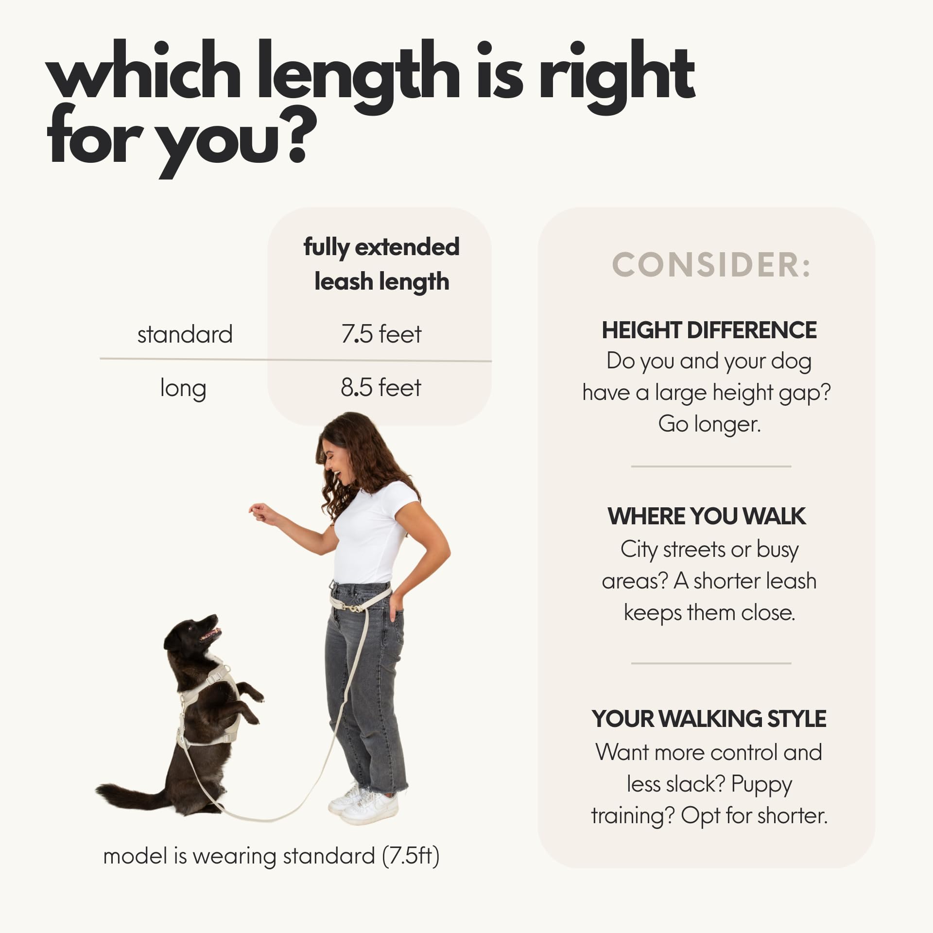 Mode ceinture Elby pour une promenade stable et sécurisée.