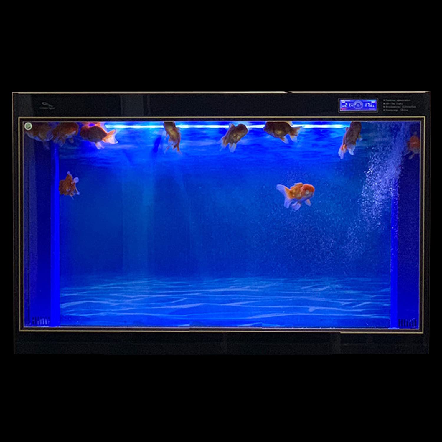 ELEBOX fond bleu noir impression HD pour l’aquarium