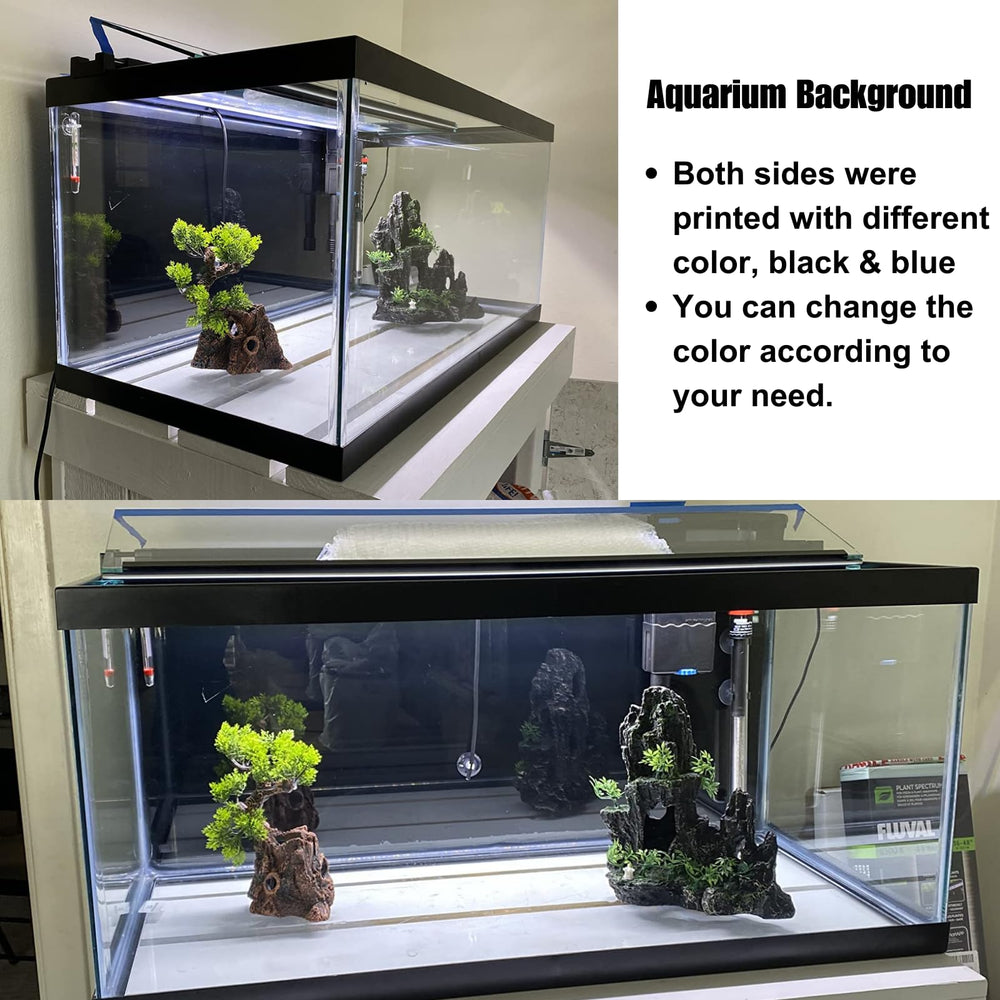 Fond ELEBOX bleu-noir couleurs vibrantes qui rehaussent l'aquarium.