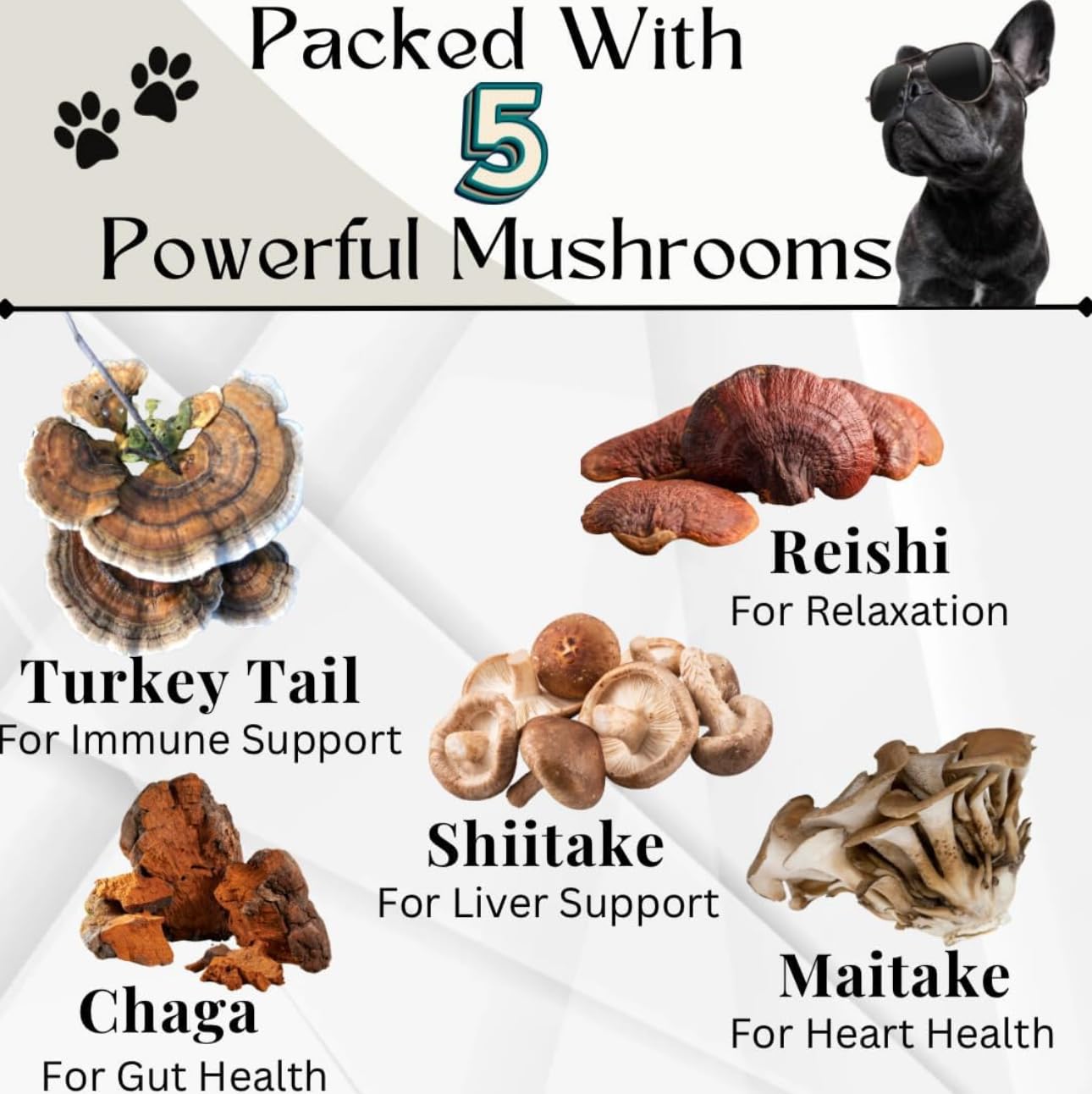 Friandises champignons Electric Elixir pour chien, soutien digestif et vitalité.