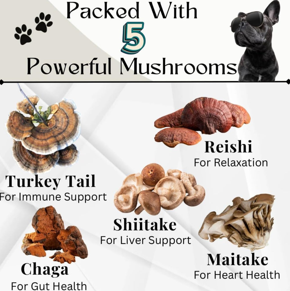 Friandises champignons Electric Elixir pour chien, soutien digestif et vitalité.