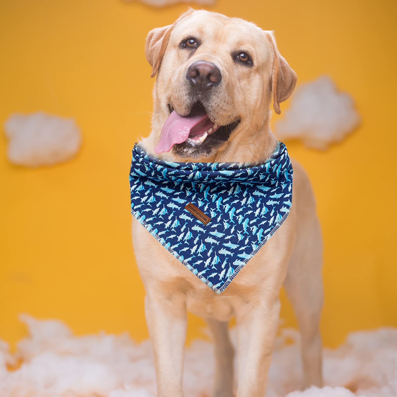 Bandana Elegant Little Tail prêt pour photos et fêtes, accessoires tendance.