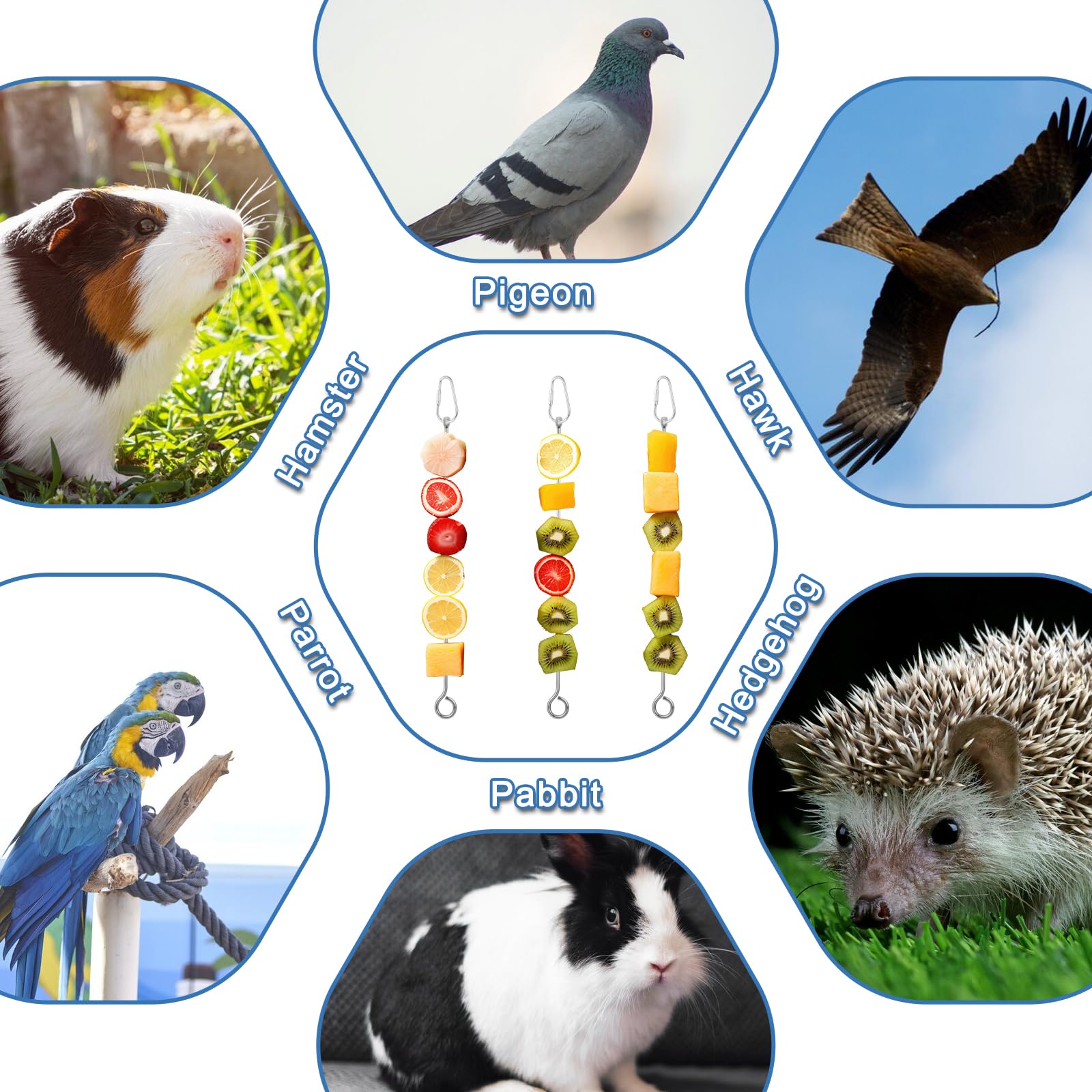 ElevateTech brochettes-fruits-legumes, encourage l'activité et l'exploration des oiseaux.