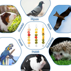 ElevateTech brochettes-fruits-legumes, encourage l'activité et l'exploration des oiseaux.