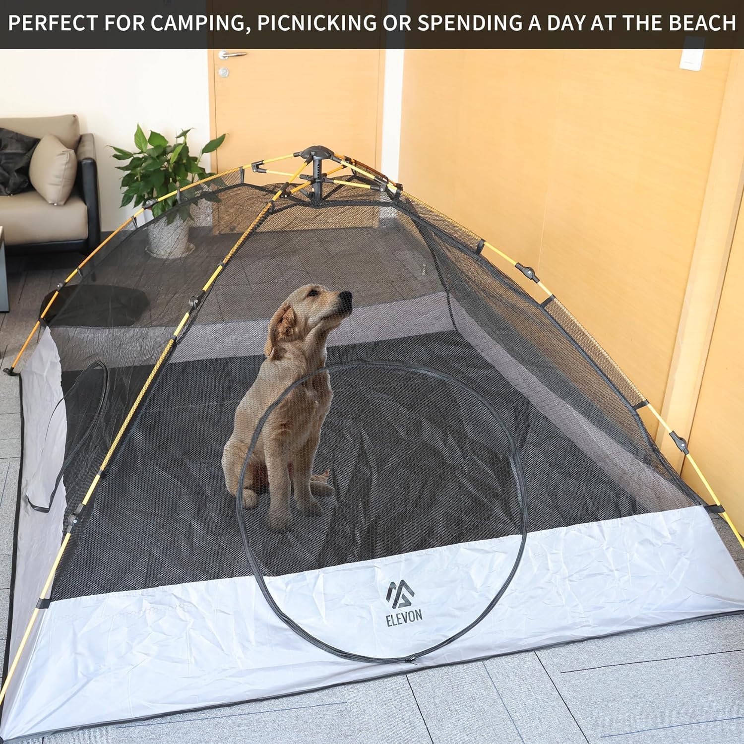 Tente Elevon pour chat, camping robuste et sûr