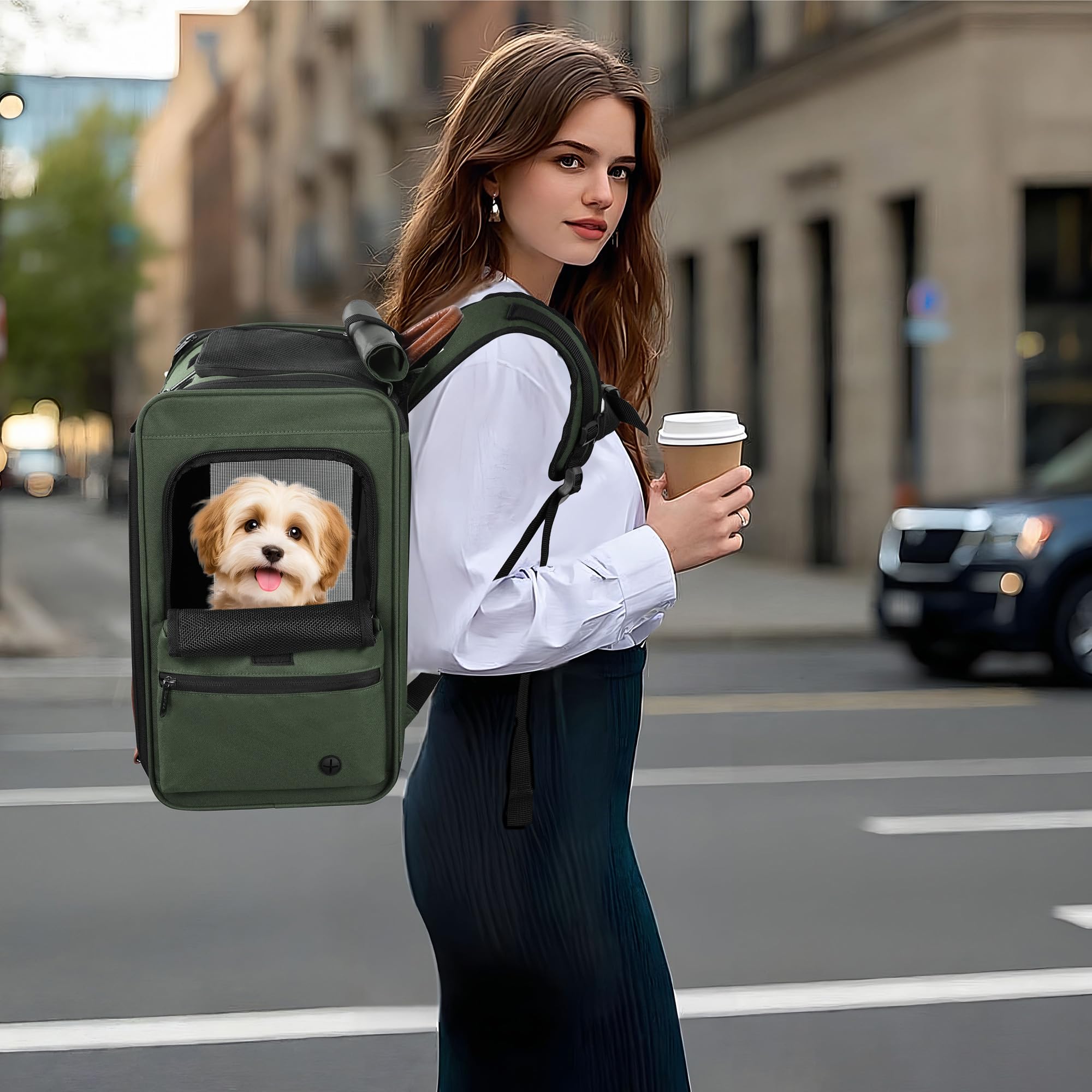 EliteField Deluxe : sac à dos pour animaux avec avant-mesh pour ventilation et visibilité.