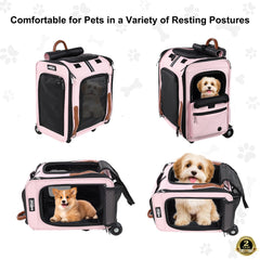 EliteField Deluxe sac à dos transport animaux – porte-mesh et accès facile, pratique lors des voyages.