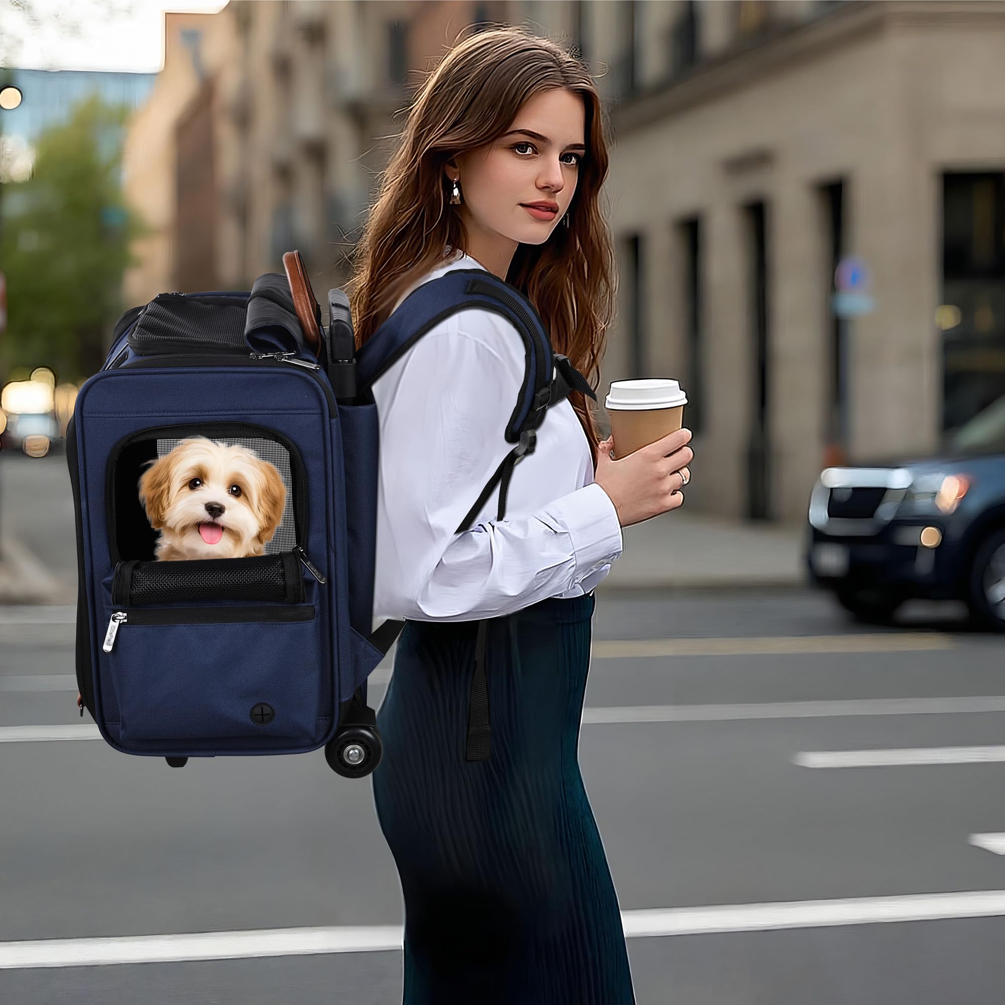 EliteField Deluxe sac-dos-animaux-usage-quotidien: transport confortable et rangement pratique