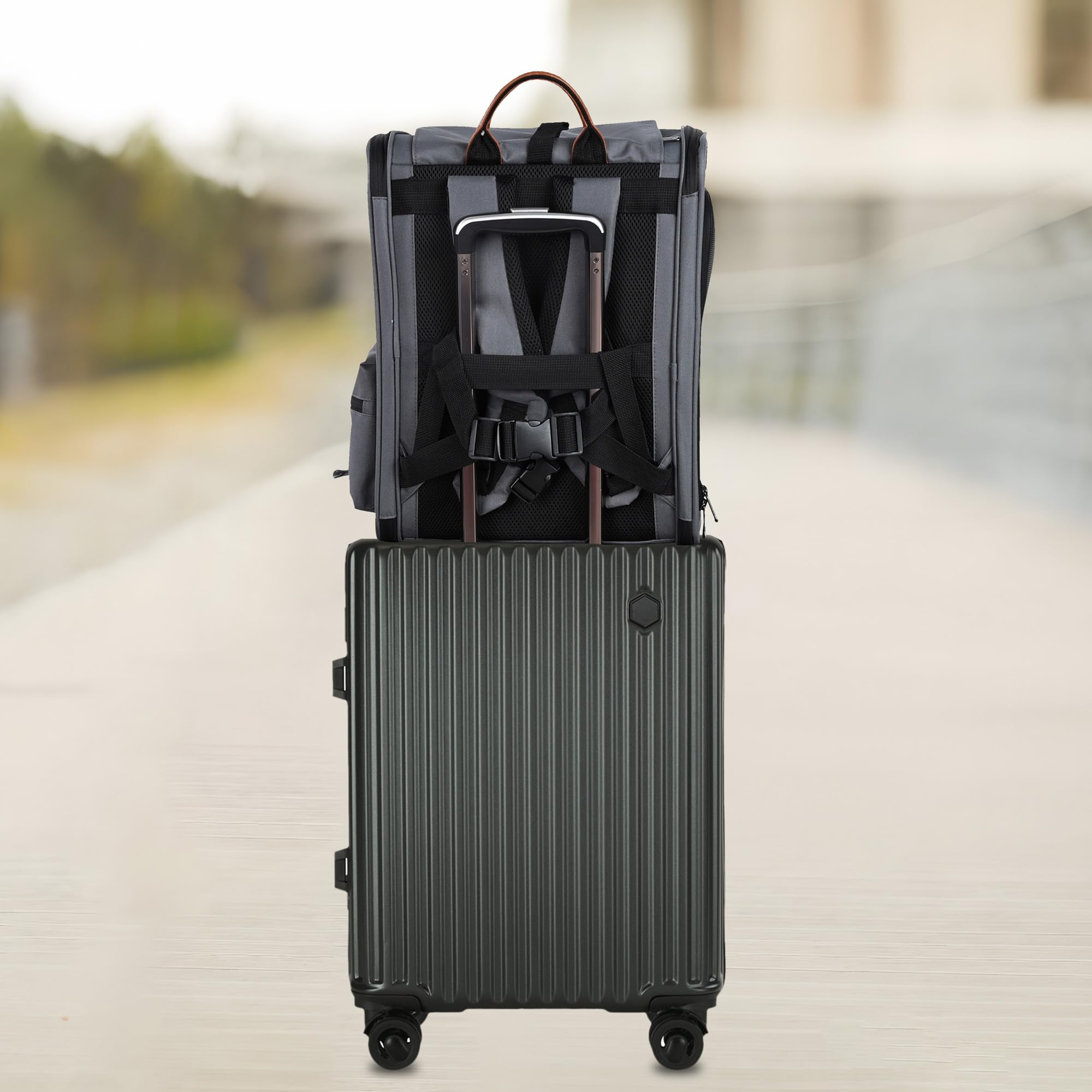 EliteField Deluxe, sac porte-animaux intérieur spacieux et matelas amovible