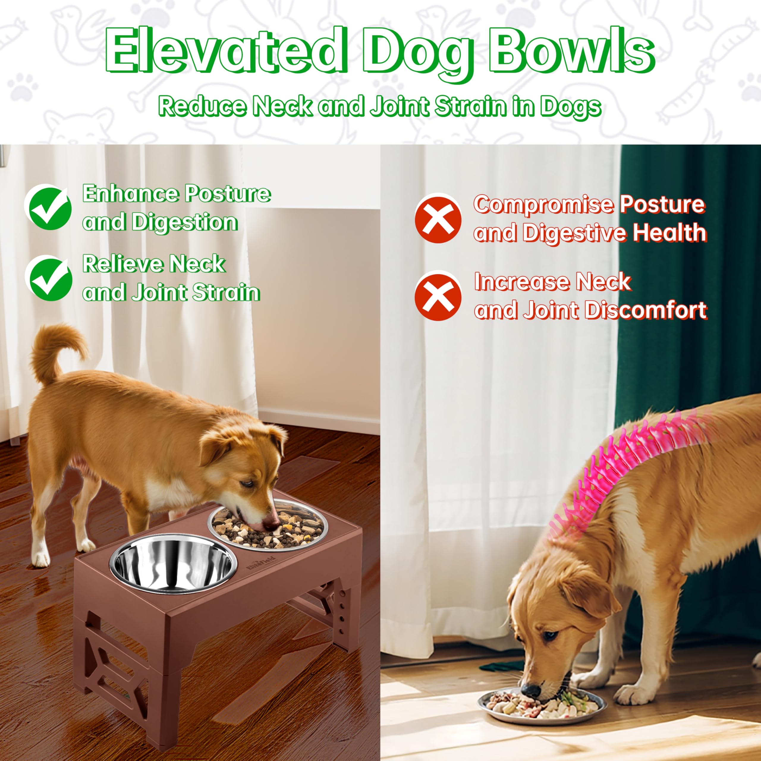 EliteField socle réglable en hauteur avec multiples positions pour chiens de toutes tailles