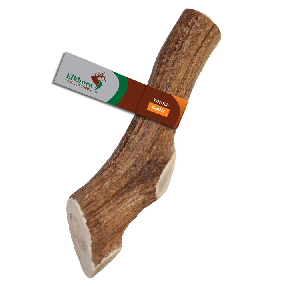 Elkhorn Premium Chews corne de cerf géante entière idéale pour grands chiens, durable.
