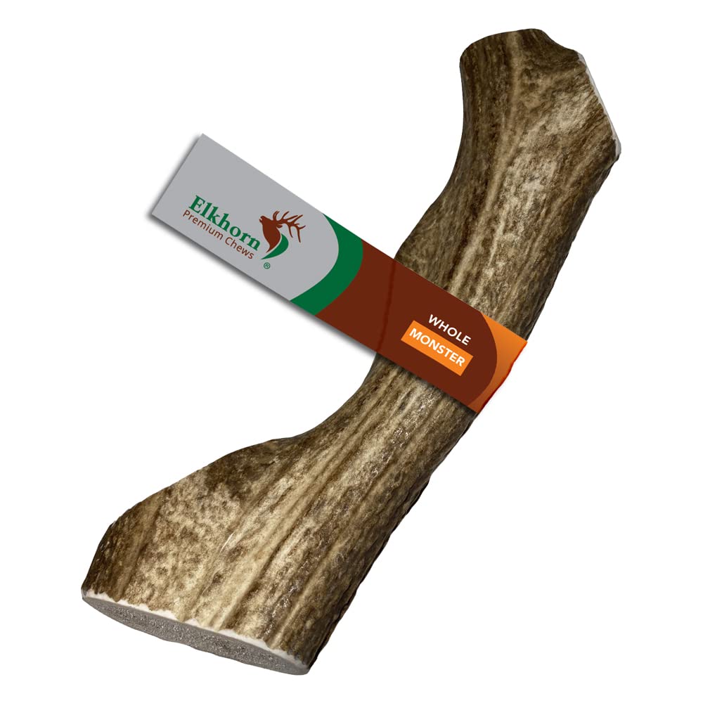 Elkhorn Premium Chews: corne-d-elan-monstre-entier, mastiquer durable pour chiens de grande taille.