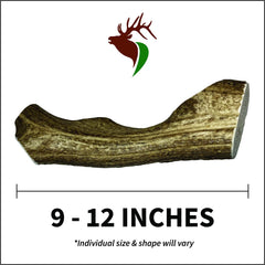 Elkhorn Premium Chews: diametre-1-75-3-po, robuste et durable pour mordiller.