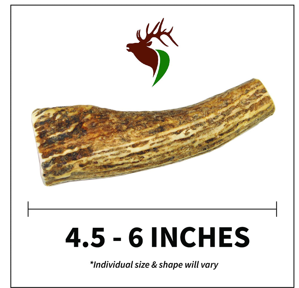 Elkhorn Premium Chews, emballage et pièce entière, pratique et sans odeur.