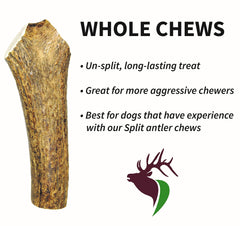 Elkhorn Premium Chews sans odeur naturelle, choix propre et simple pour les chiens.