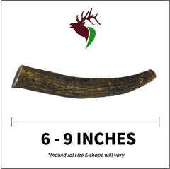 Elkhorn Premium Chews – surface lisse et arêtes polies pour une mastication plus sûre