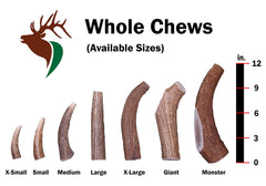 Elkhorn Premium Chews taille L 8 à 11 pouces adaptée pour chiens de grande taille.