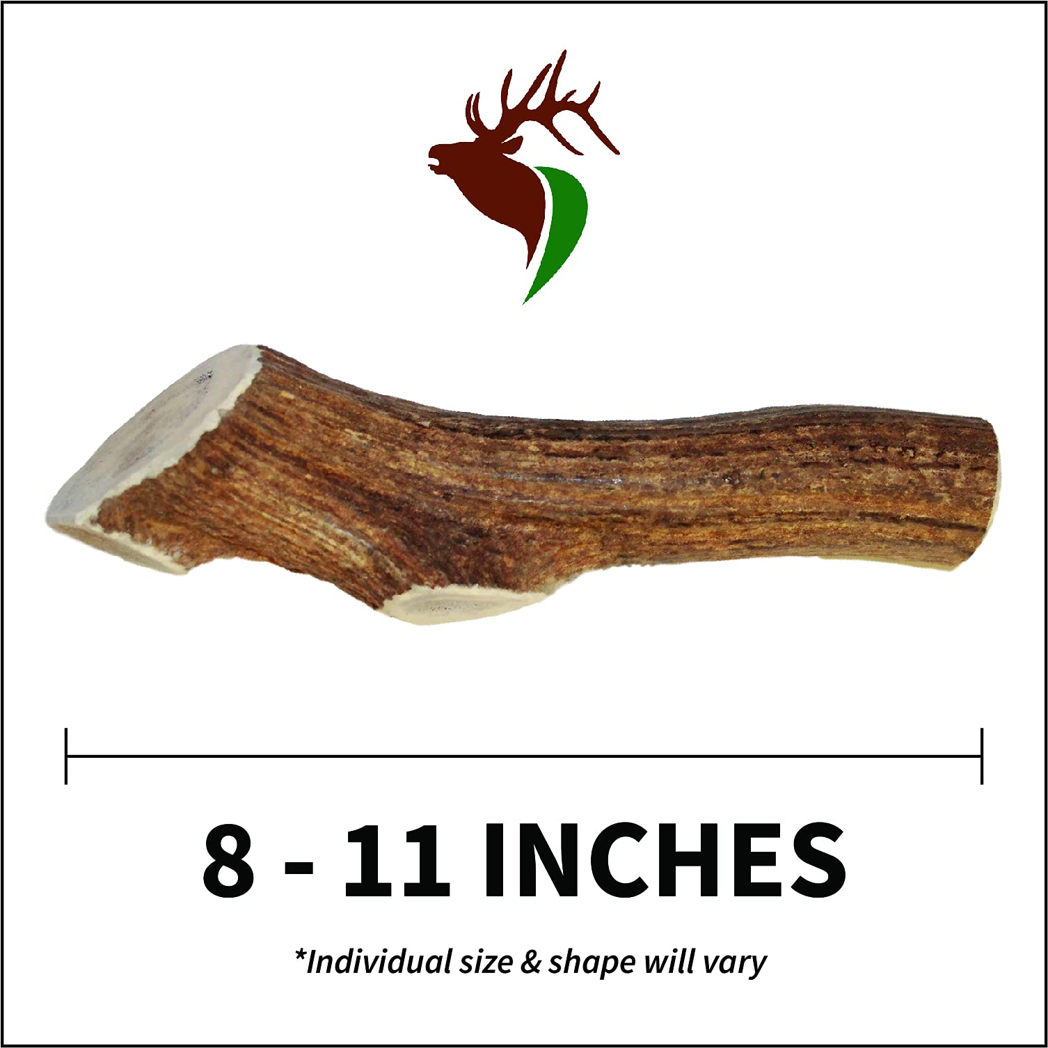 Elkhorn Premium Chews texture naturelle pour surface sûre et agréable.