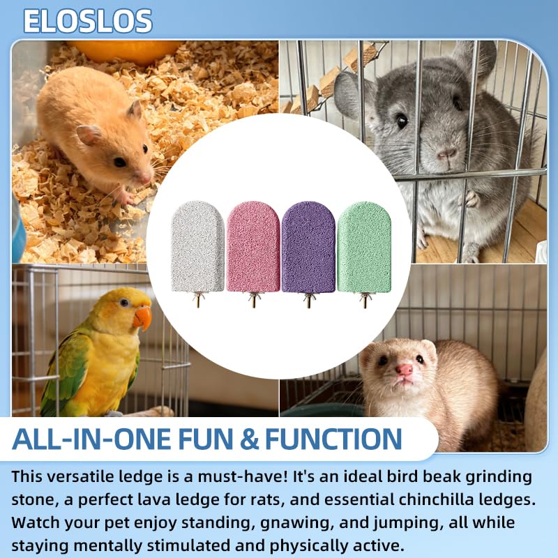 Eloslos Lava Ledge montage sans outil, installation rapide et stable.