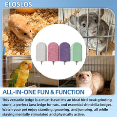 Eloslos Lava Ledge montage sans outil, installation rapide et stable.