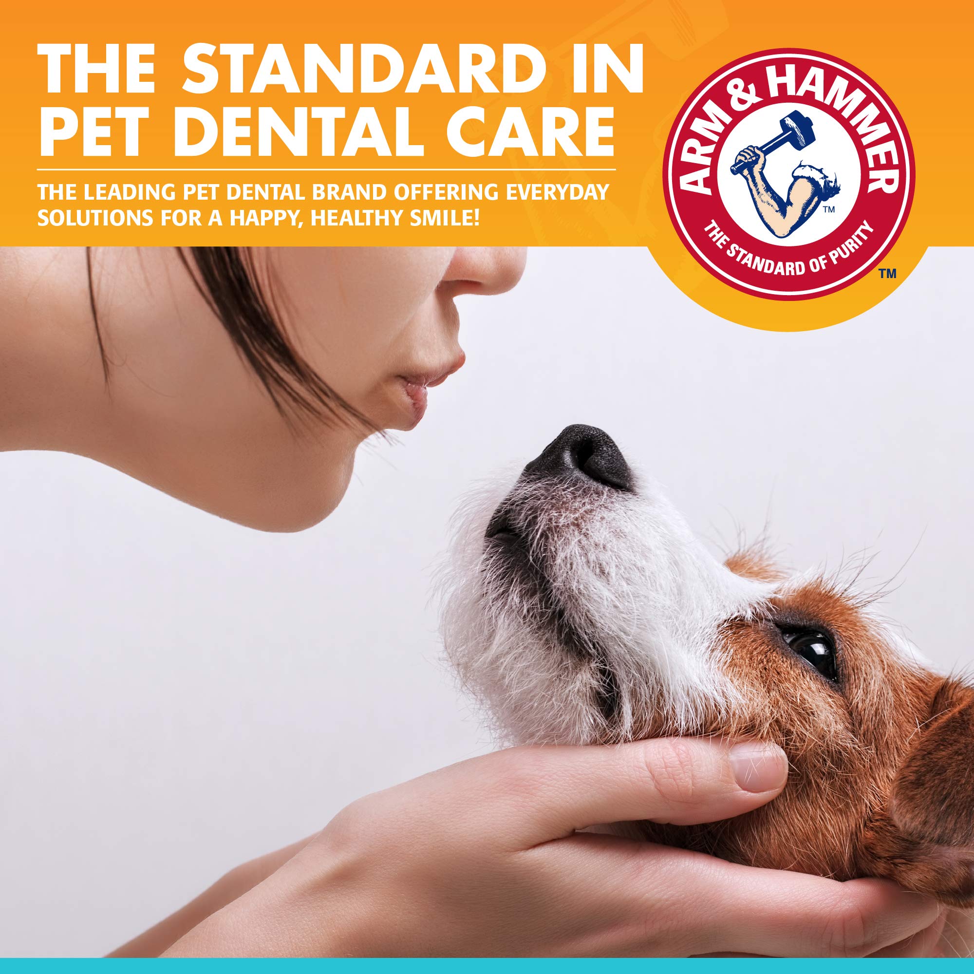 Emballage clair du kit dentaires Arm & Hammer pour chiens