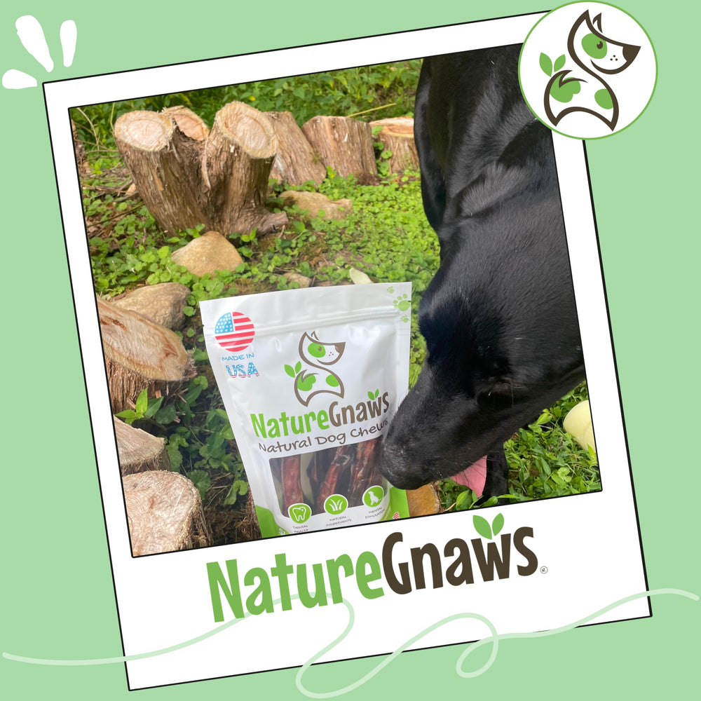Emballage pratique pour sorties et déplacements avec Nature Gnaws.