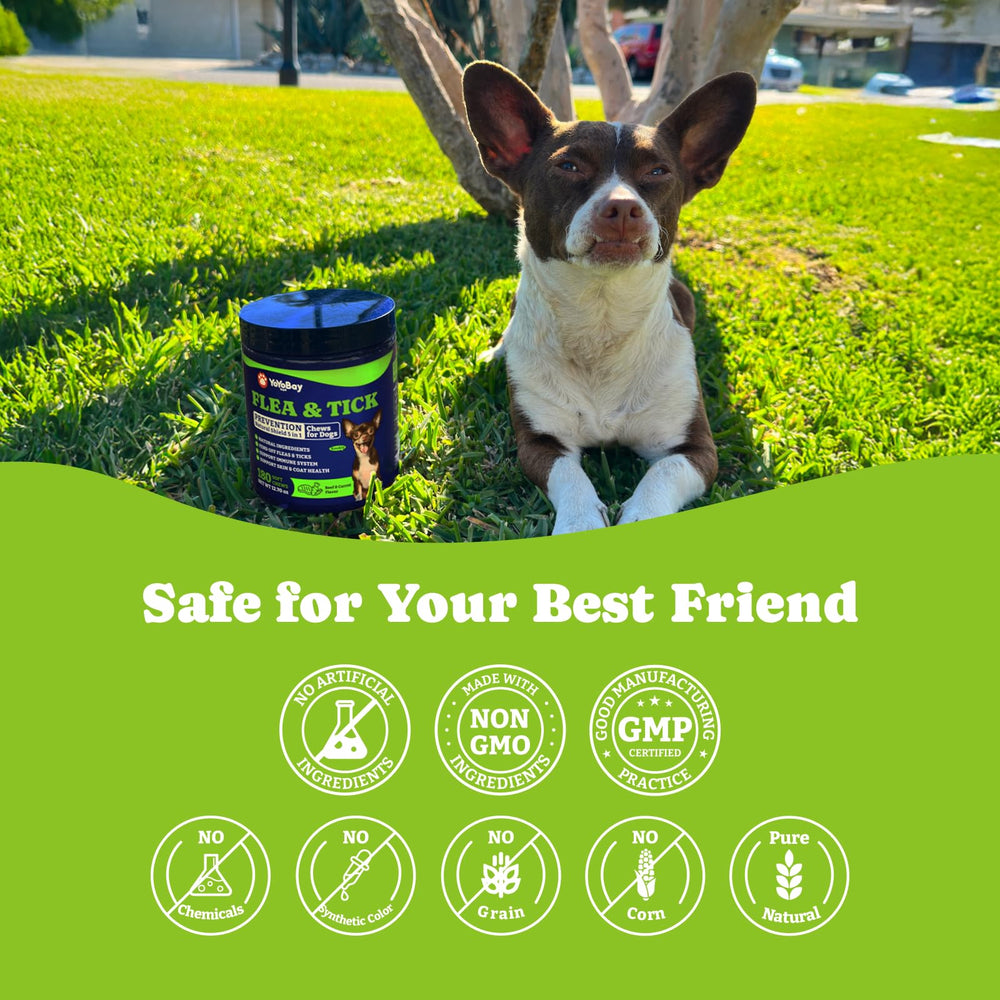 Emballage pratique et usage quotidien pour tous les chiens