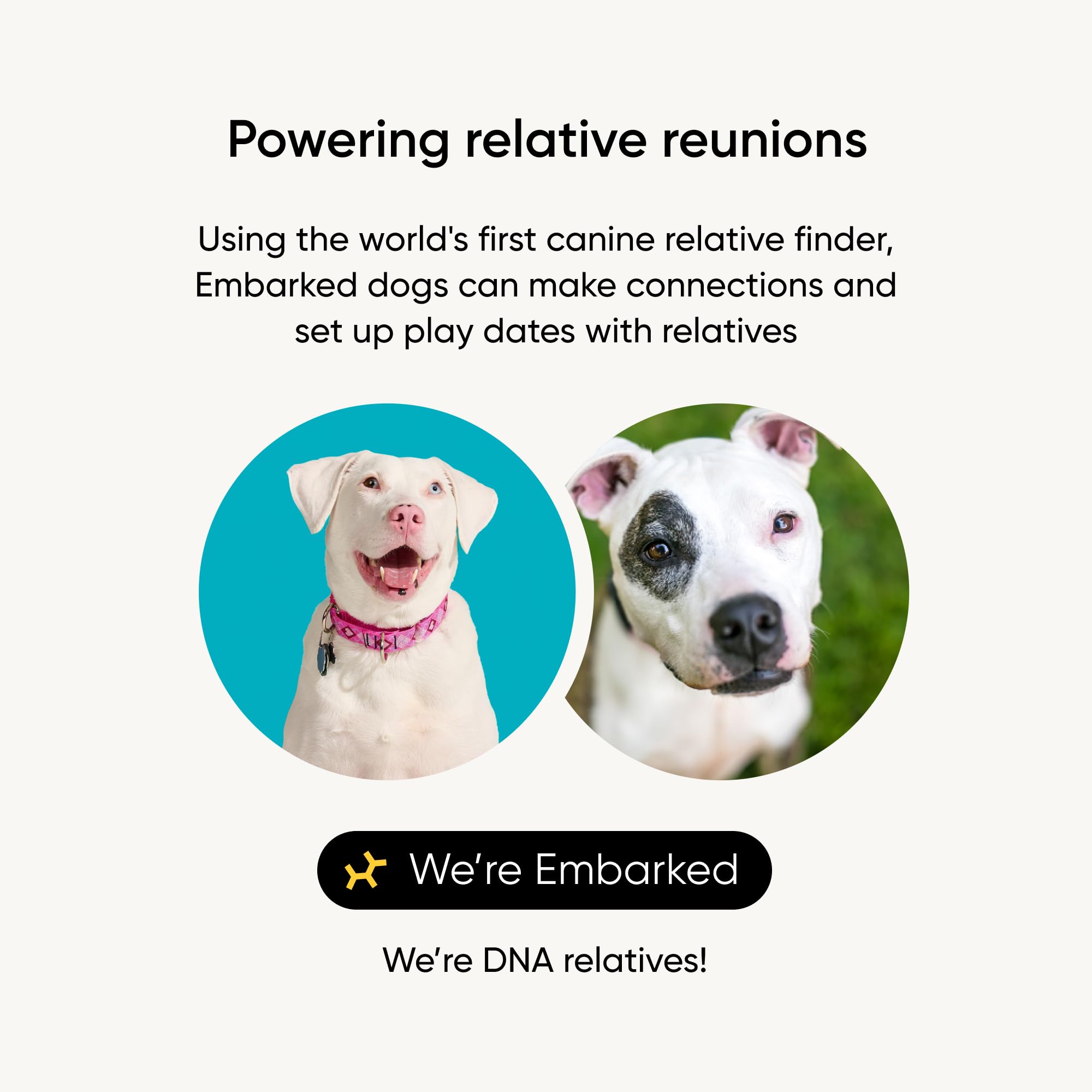 Embark ancestry-trace-ancetres: retraçage de l'ascendance et des ancêtres