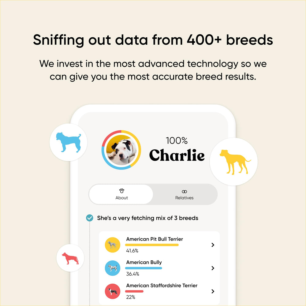 Embark Kit ADN Chien: ascendance et proches génétiques pour planifier les soins.