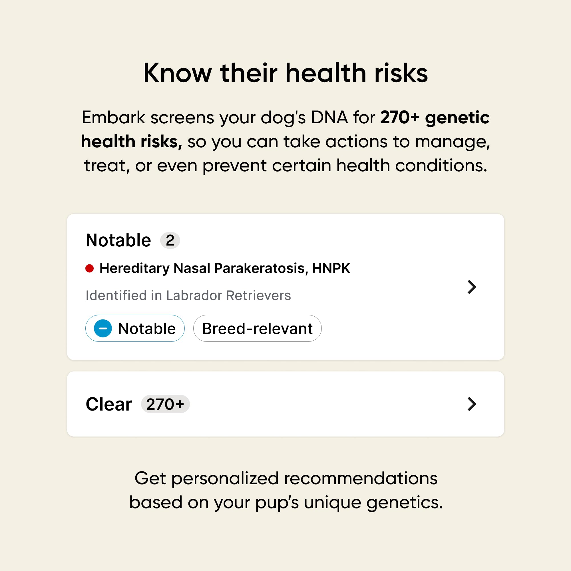 Embark Kit ADN Chien: découverte des proches génétiques pour élargir le réseau canin.