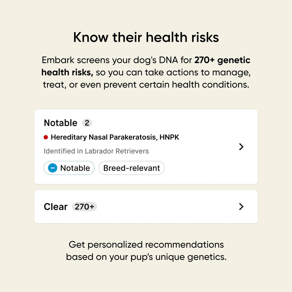 Embark Kit ADN Chien: découverte des proches génétiques pour élargir le réseau canin.