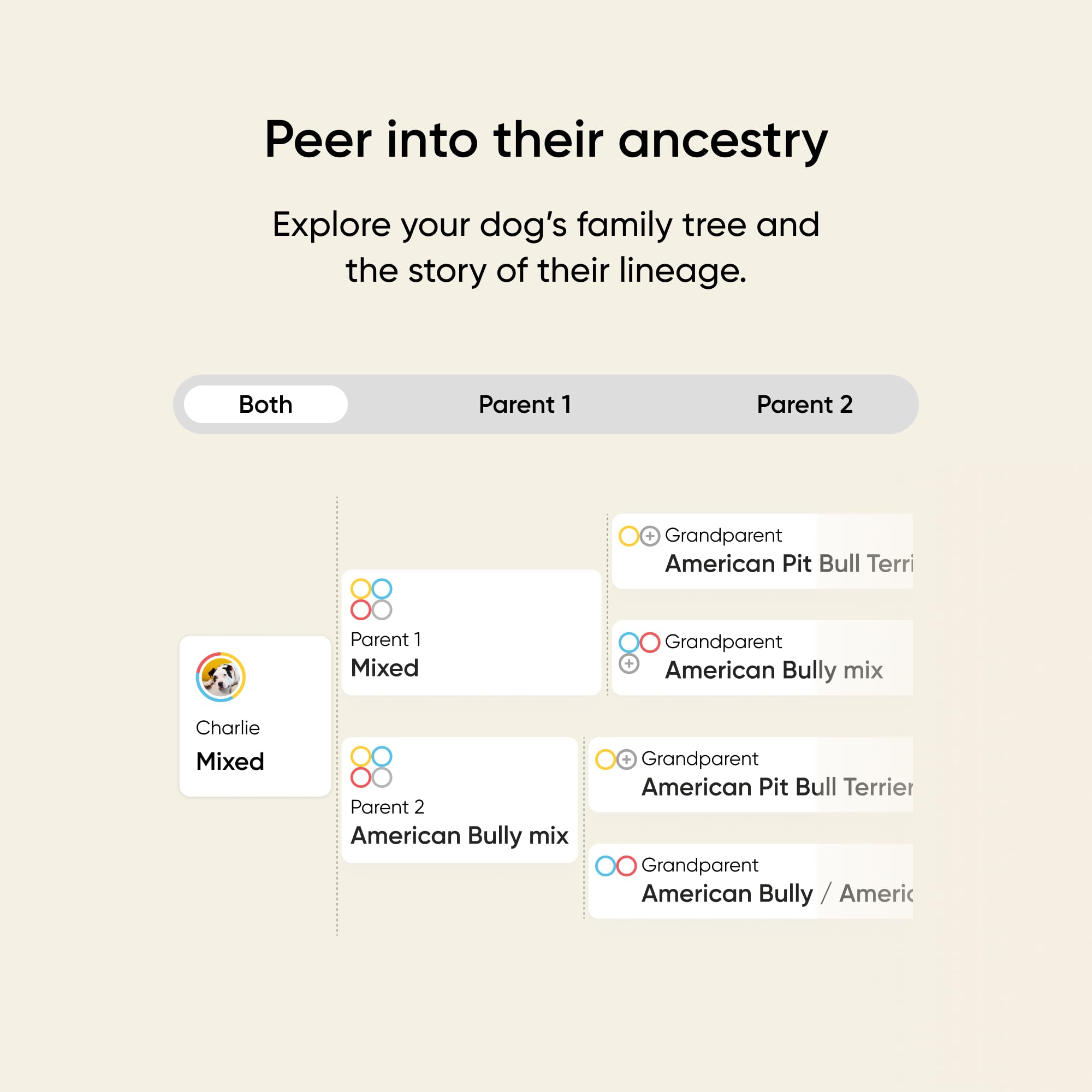Embark Kit ADN Chien: scores d’allergie pour mieux gérer l’inconfort.