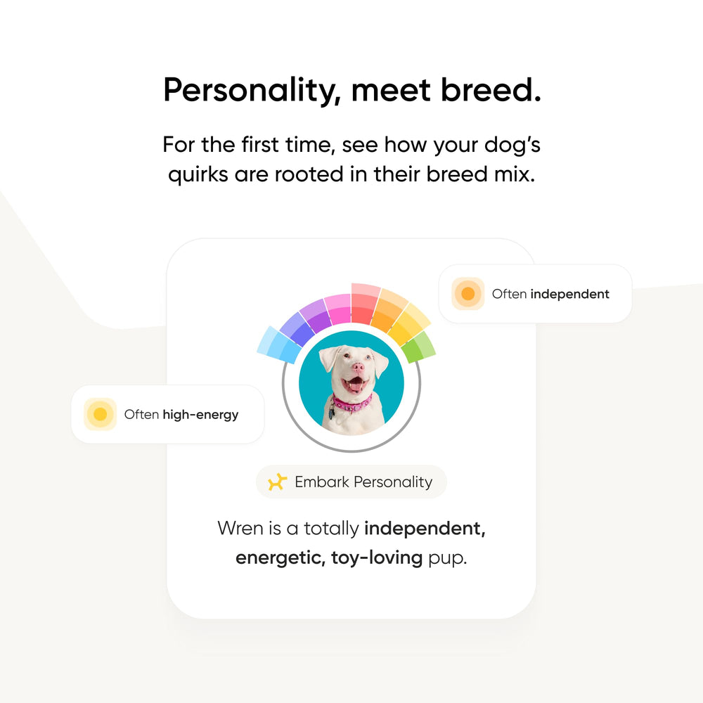 Embark Kit ADN Chien: trouveur de proches pour des connexions canines.