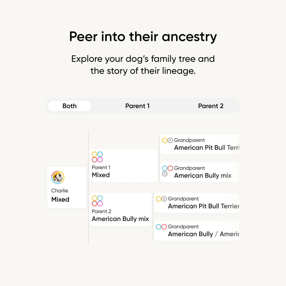 Embark personnalite-quiz-resultats: quiz de personnalite révélant les instincts du chien